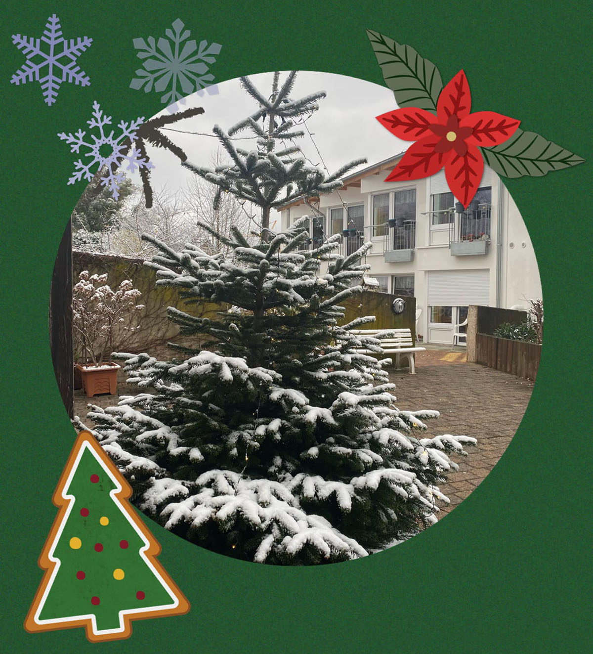Unsere Bäume stehen schon, bald schmücken wir für Weihnachten!