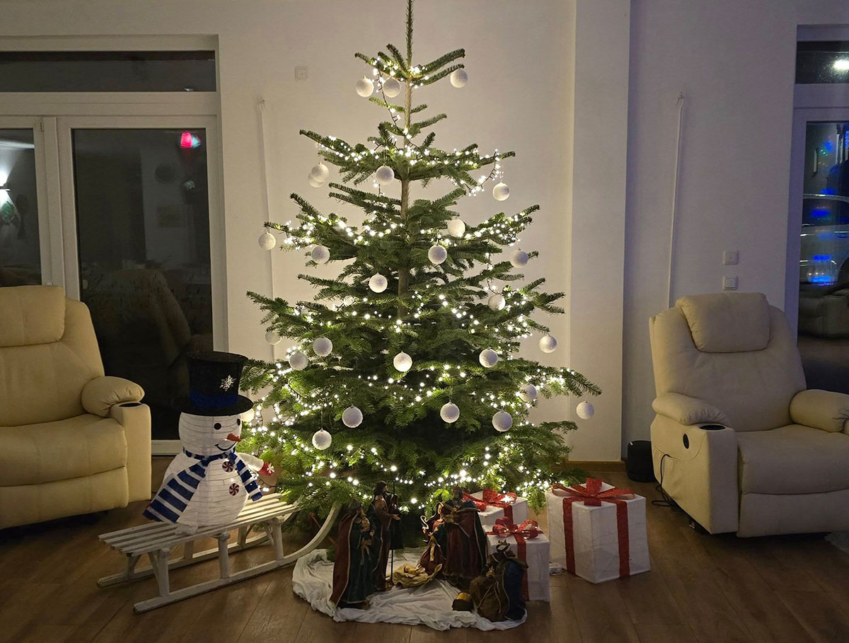Die Tagespflege erstrahlt im weihnachtlichen Glanz