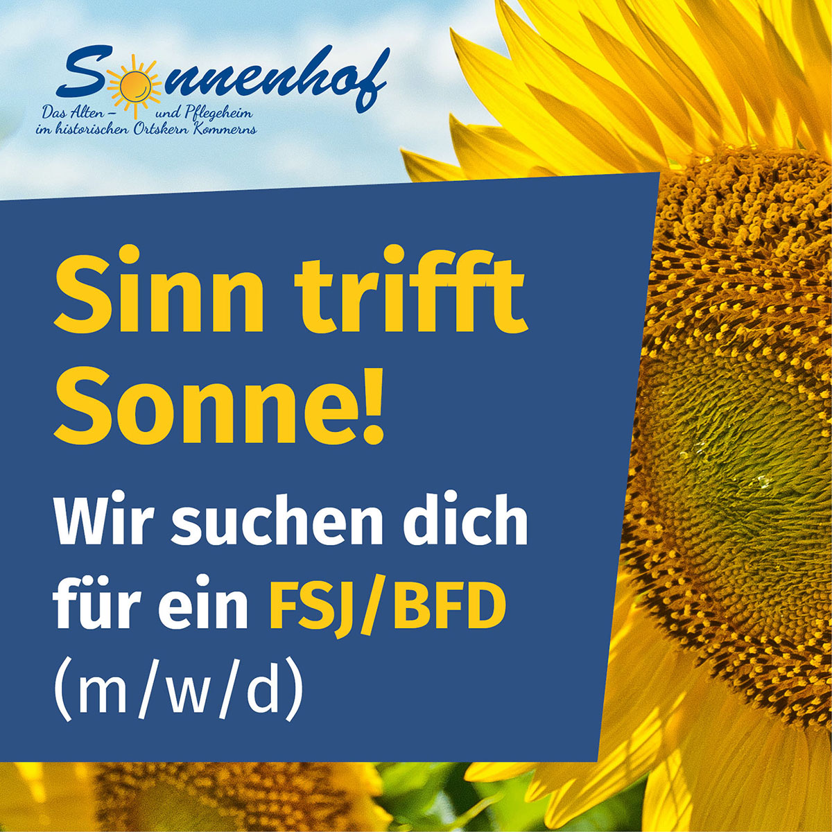Wir suchen dich für ein FSJ oder BFD